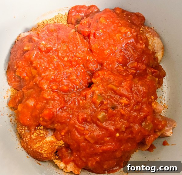 Speedy Ninja Foodi Salsa Chicken 3 Ingredients laid out for Ninja Foodi salsa chicken recipe