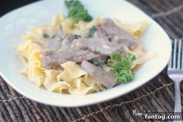 Delicious Beef Stroganoff served over egg noodles