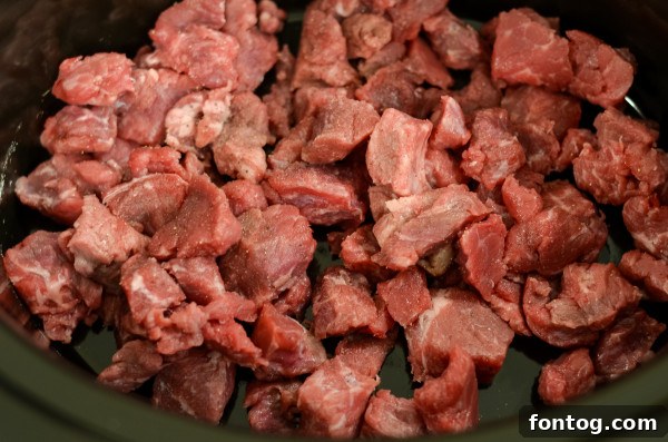 Close-up of tender beef stew meat and vegetables
